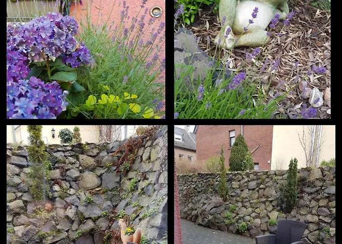 Lavendel Bornheim (Rheinland)